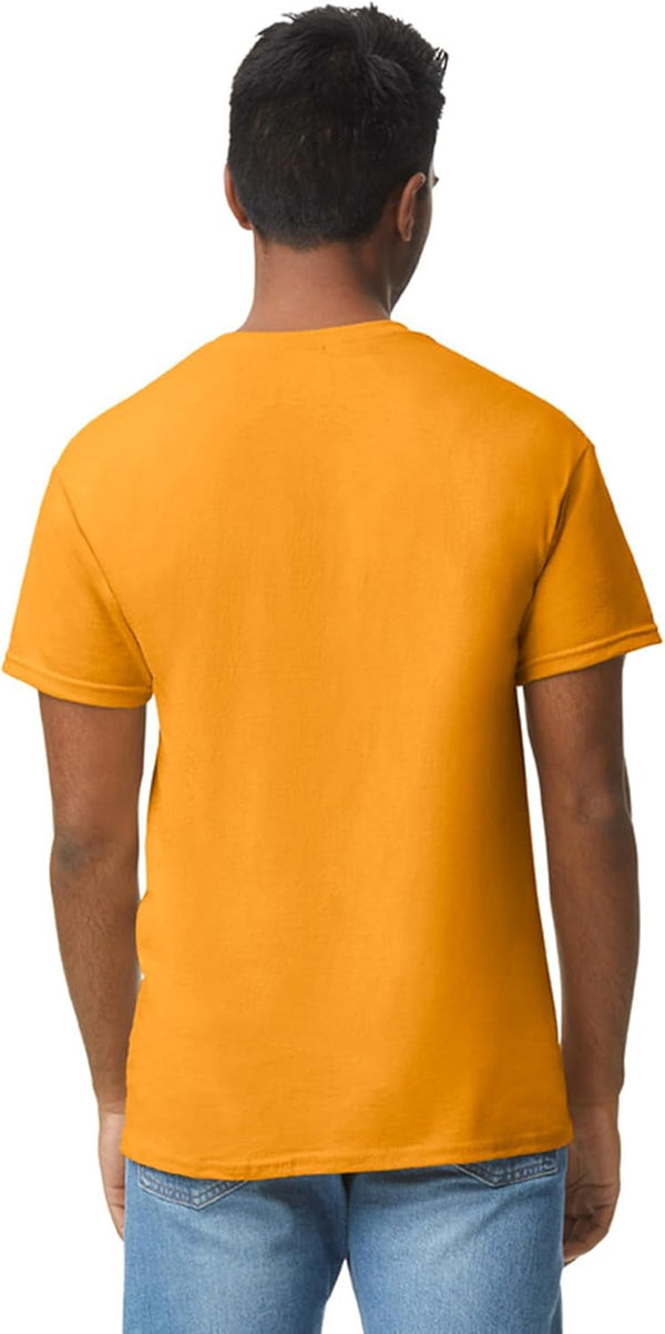 Unisex Adult Heavy Cotton T-Shirt, Style G5000, Multipack